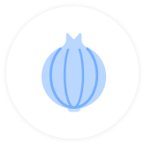 перевозка лука