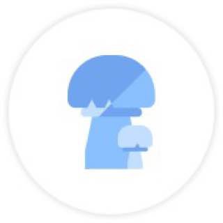 перевозка грибов
